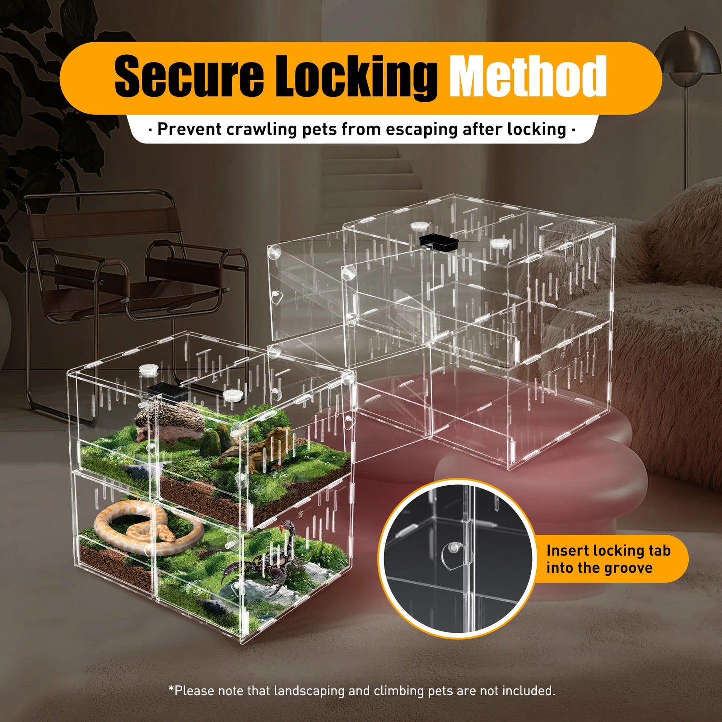 4 Compartments Reptile Terrarium with Practical Thermometer and Protective Film Suitable for A Variety of Small Reptile Pets