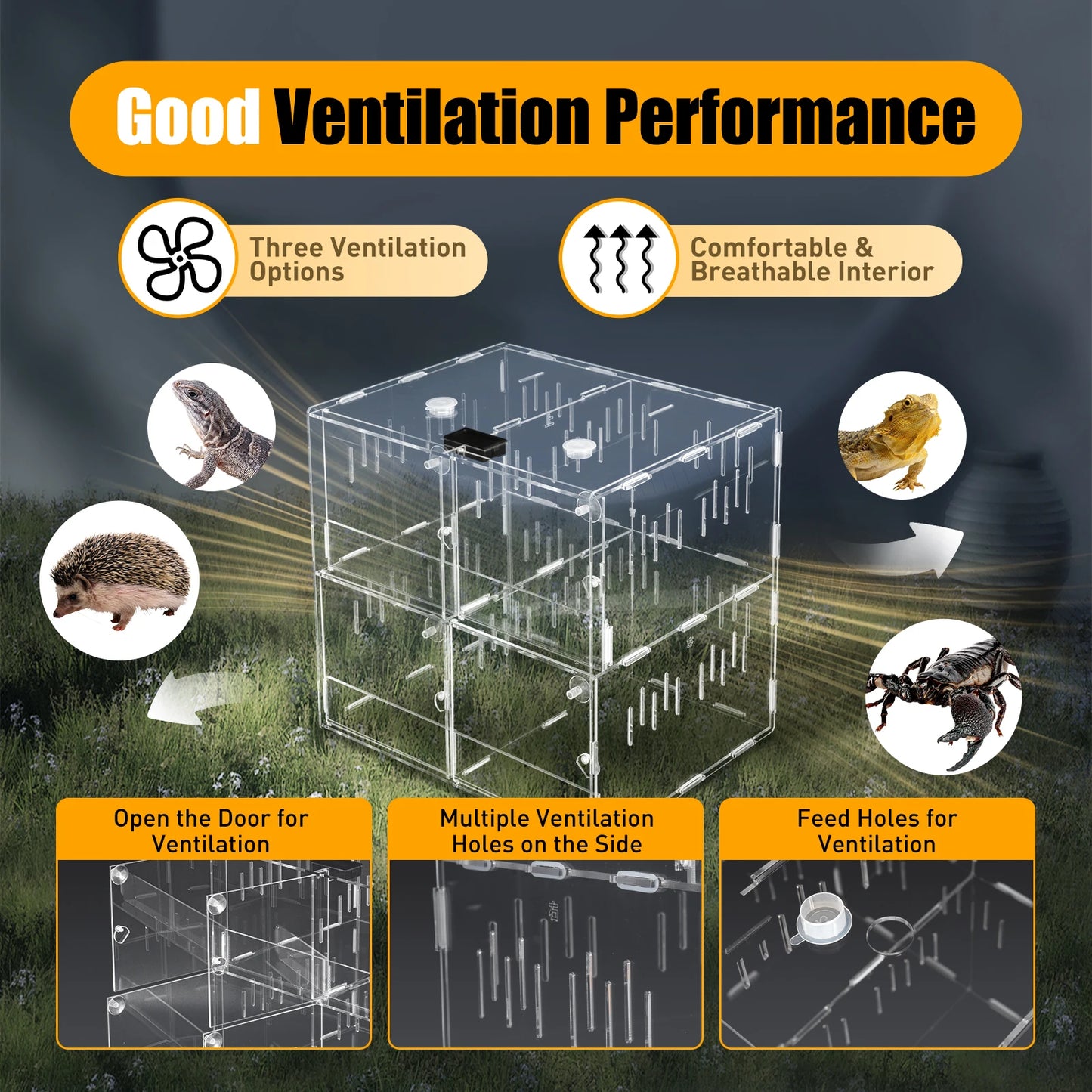4 Compartments Reptile Terrarium with Practical Thermometer and Protective Film Suitable for A Variety of Small Reptile Pets