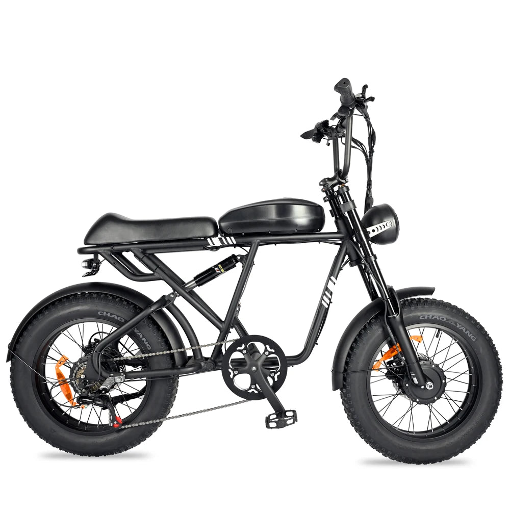 20 Inch 1000 Watt Dual Motor 48 Volt 100 Kilometer Fat Tire Electric Mountain Bike Aluminum Alloy Adult SUV Electric Bike