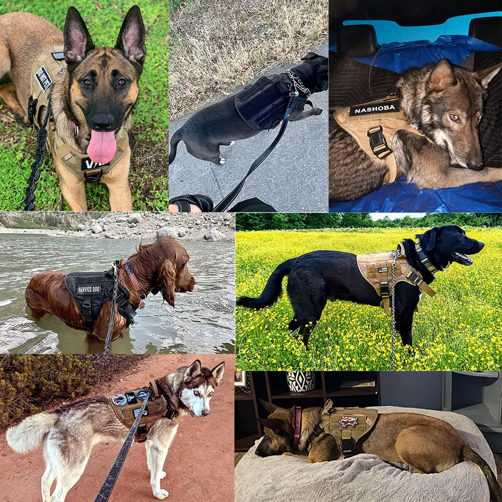5 Pcs Large Dog Harnesses for German Shepherd and Malinois Training and Walking Vests for Medium and Large Dogs Accessories