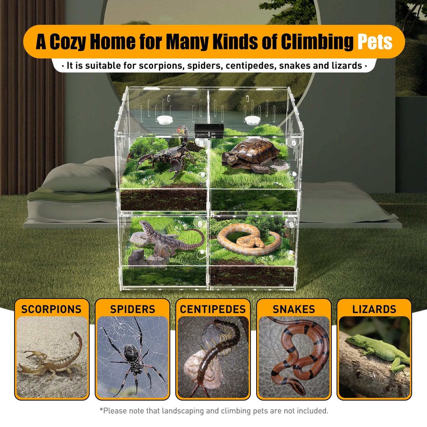 4 Compartments Reptile Terrarium with Practical Thermometer and Protective Film Suitable for A Variety of Small Reptile Pets