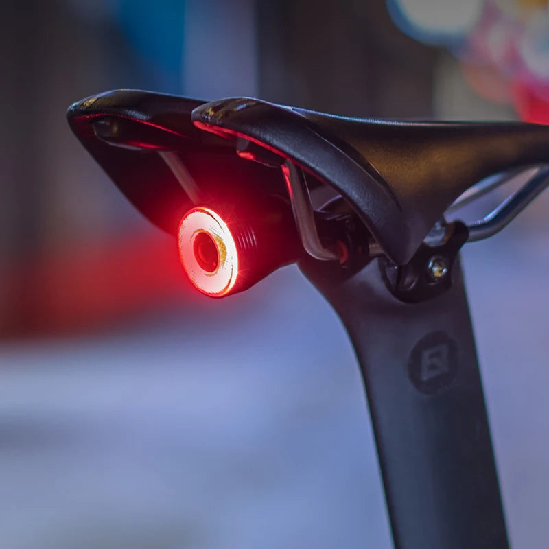 Rockbros Bicycle Smart Auto Brake Sensing Light IPX6 Waterproof LED Charging Cycling Taillight Bike Rear Light Accessories Q5