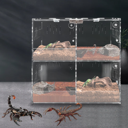 4 Compartments Reptile Terrarium with Practical Thermometer and Protective Film Suitable for A Variety of Small Reptile Pets