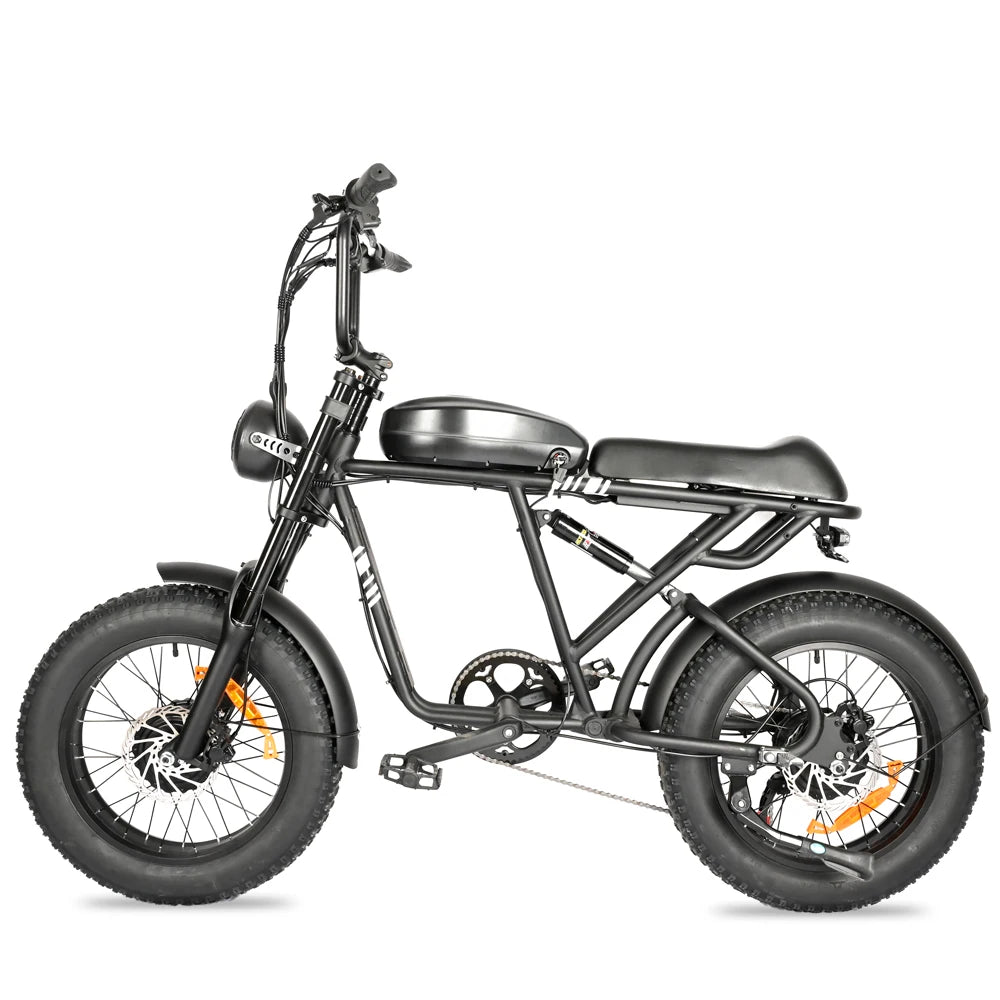 20 Inch 1000 Watt Dual Motor 48 Volt 100 Kilometer Fat Tire Electric Mountain Bike Aluminum Alloy Adult SUV Electric Bike